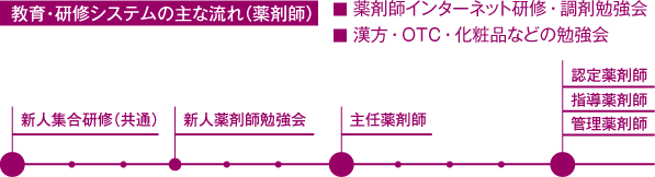 教育・研修システムの主な流れ（薬剤師）