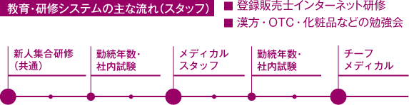 教育・研修システムの主な流れ（スタッフ）